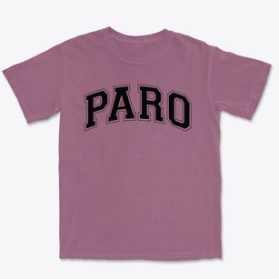 Paro Education Center Varsity Arch Premium Heavyweight T-shirt