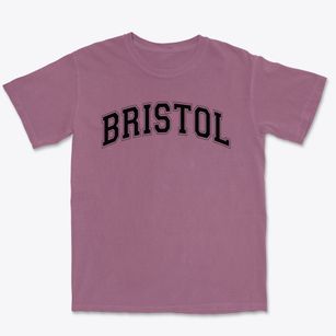 Bristol Primary School Varsity Arch Premium Heavyweight T-shirt