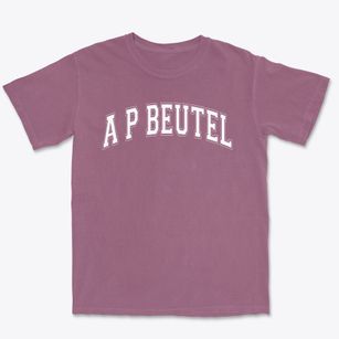 A P Beutel Elementary School Varsity Arch Premium Heavyweight T-shirt