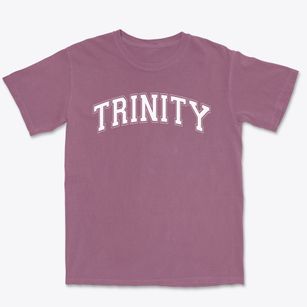 Trinity Lutheran School Varsity Arch Premium Heavyweight T-shirt