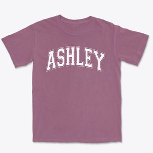 Ashley Elementary School Varsity Arch Premium Heavyweight T-shirt