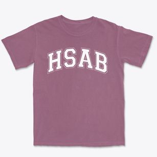 High School For Arts And Business Varsity Arch Premium Heavyweight T-shirt