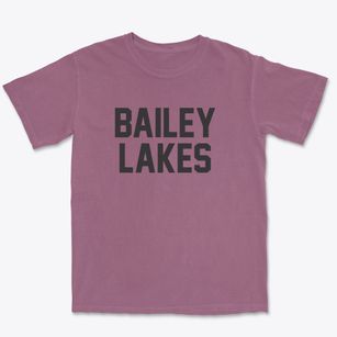 Bailey Lakes Ohio Classic Block Premium Heavyweight T-shirt