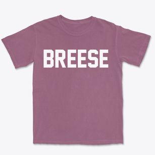Breese Illinois Classic Block Premium Heavyweight T-shirt