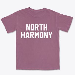 North Harmony New York Classic Block Premium Heavyweight T-shirt