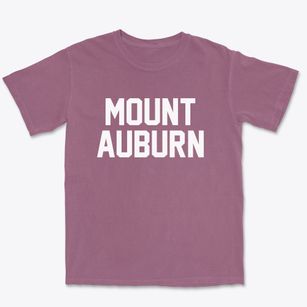 Mount Auburn Illinois Classic Block Premium Heavyweight T-shirt