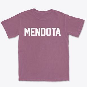 Mendota Illinois Classic Block Premium Heavyweight T-shirt