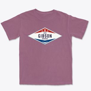 Gibson Arkansas Diamond Star Premium Heavyweight T-shirt
