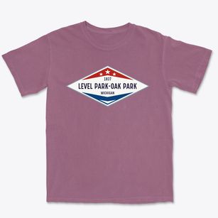 Level Park-oak Park Michigan Diamond Star Premium Heavyweight T-shirt