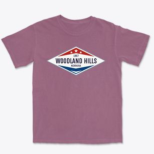 Woodland Hills Nebraska Diamond Star Premium Heavyweight T-shirt