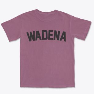 Wadena Iowa Classic Curve Premium Heavyweight T-shirt