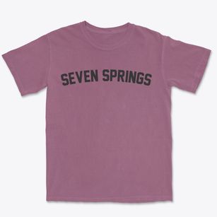 Seven Springs Pennsylvania Classic Curve Premium Heavyweight T-shirt