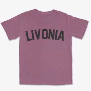 Livonia New York Classic Curve Premium Heavyweight T-shirt