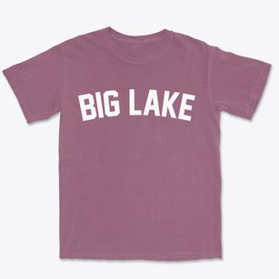 Big Lake Washington Classic Curve Premium Heavyweight T-shirt