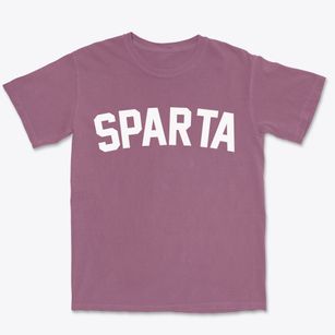 Sparta New York Classic Curve Premium Heavyweight T-shirt