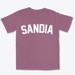 Sandia Texas Classic Curve Premium Heavyweight T-shirt