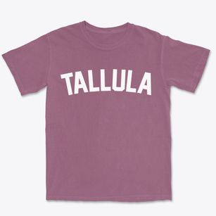 Tallula Illinois Classic Curve Premium Heavyweight T-shirt