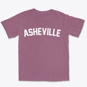 Asheville North Carolina Classic Curve Premium Heavyweight T-shirt