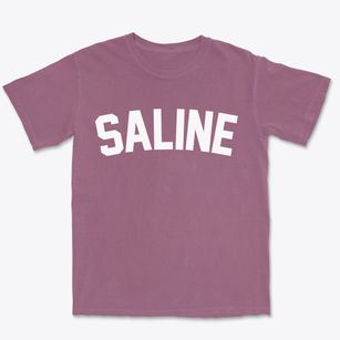 Saline Michigan Classic Curve Premium Heavyweight T-shirt