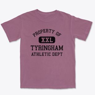 Tyringham Massachusetts Athletic Dept Premium Heavyweight T-shirt