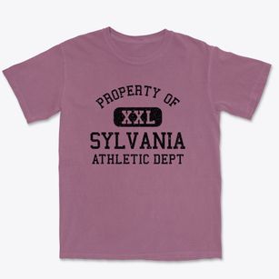 Sylvania Pennsylvania Athletic Dept Premium Heavyweight T-shirt