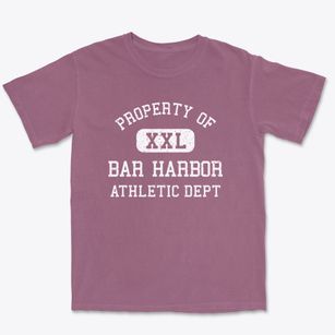 Bar Harbor Maine Athletic Dept Premium Heavyweight T-shirt