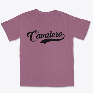 Cavalero Washington Vintage Team Premium Heavyweight T-shirt