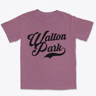 Walton Park New York Vintage Team Premium Heavyweight T-shirt