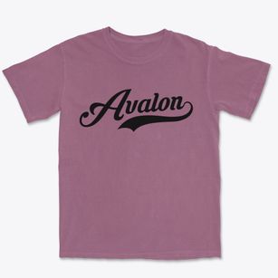 Avalon New Jersey Vintage Team Premium Heavyweight T-shirt