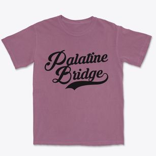 Palatine Bridge New York Vintage Team Premium Heavyweight T-shirt