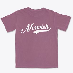 Norwich Kansas Vintage Team Premium Heavyweight T-shirt