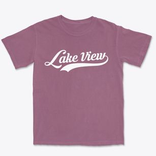 Lake View Texas Vintage Team Premium Heavyweight T-shirt
