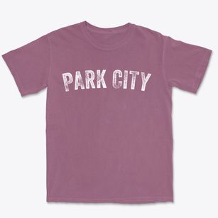 Park City Kansas Timeless Retro Premium Heavyweight T-shirt