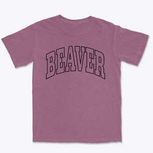 Beaver Arkansas Trendy Block Premium Heavyweight T-shirt