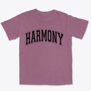 Harmony Pennsylvania Varsity Premium Heavyweight T-shirt