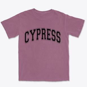 Cypress Illinois Varsity Premium Heavyweight T-shirt