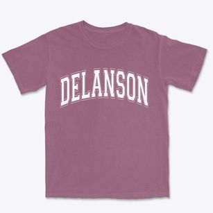 Delanson New York Varsity Premium Heavyweight T-shirt