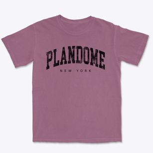 Plandome New York Urban Vibe Premium Heavyweight T-shirt