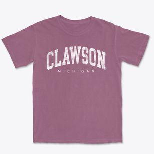 Clawson Michigan Urban Vibe Premium Heavyweight T-shirt