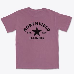 Northfield Illinois Star Premium Heavyweight T-shirt
