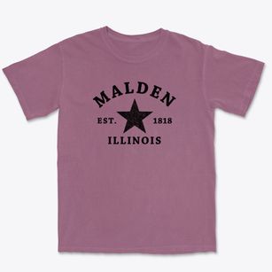 Malden Illinois Star Premium Heavyweight T-shirt
