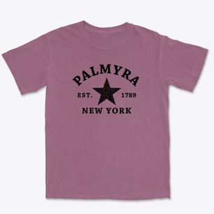 Palmyra New York Star Premium Heavyweight T-shirt