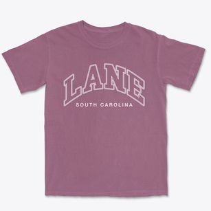 Lane South Carolina Inline Premium Heavyweight T-shirt