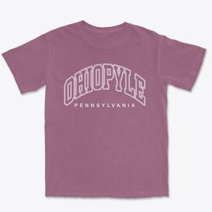 Ohiopyle Pennsylvania Inline Premium Heavyweight T-shirt