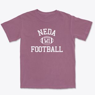 Neda Wisconsin Football Premium Heavyweight T-shirt