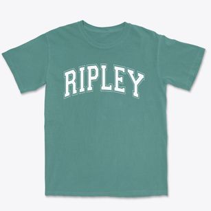 Ripley Elementary School Varsity Arch Premium Heavyweight T-shirt