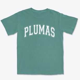 Plumas Christian School Varsity Arch Premium Heavyweight T-shirt