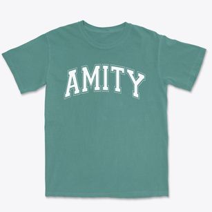 Amity Middle School Varsity Arch Premium Heavyweight T-shirt