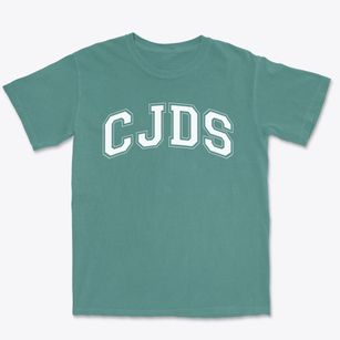 Chicago Jewish Day School Varsity Arch Premium Heavyweight T-shirt