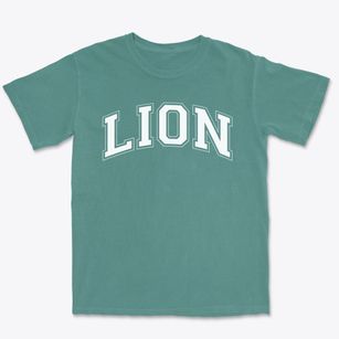 Leaders In Our Neighborhood Charter School Varsity Arch Premium Heavyweight T-shirt